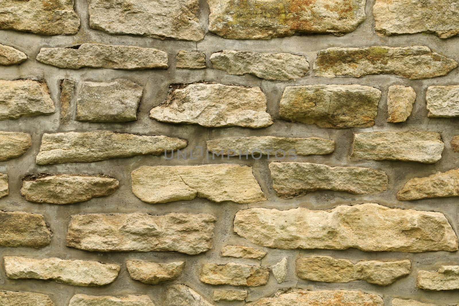 close up of old wall Texture