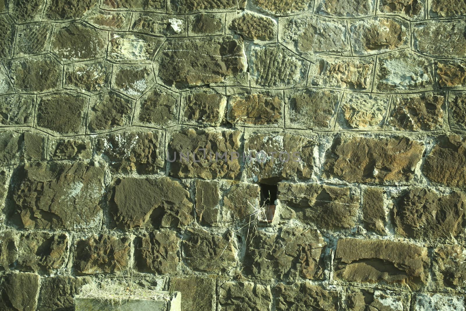 close up of old wall Texture