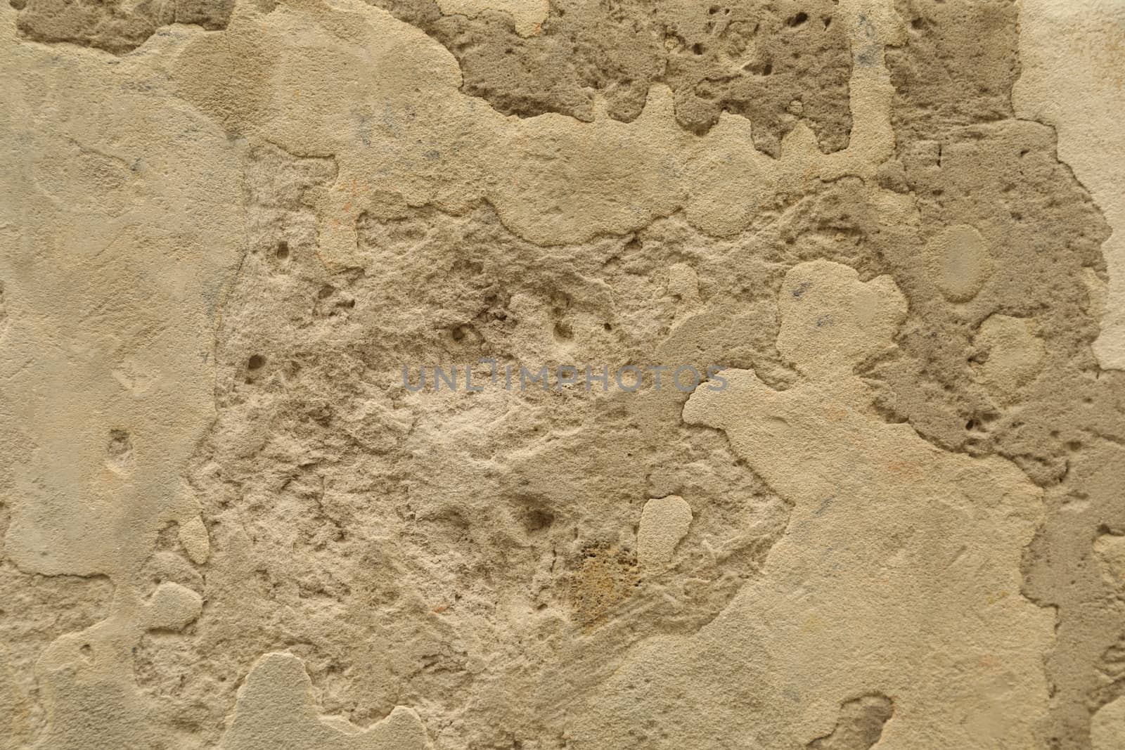 close up of old wall Texture