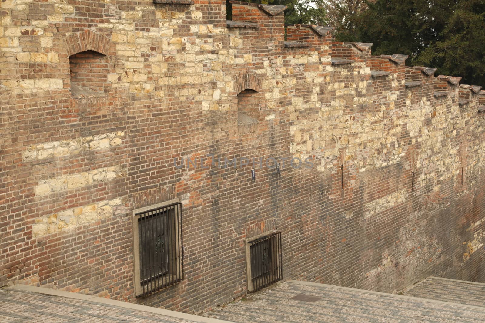 close up of old wall Texture