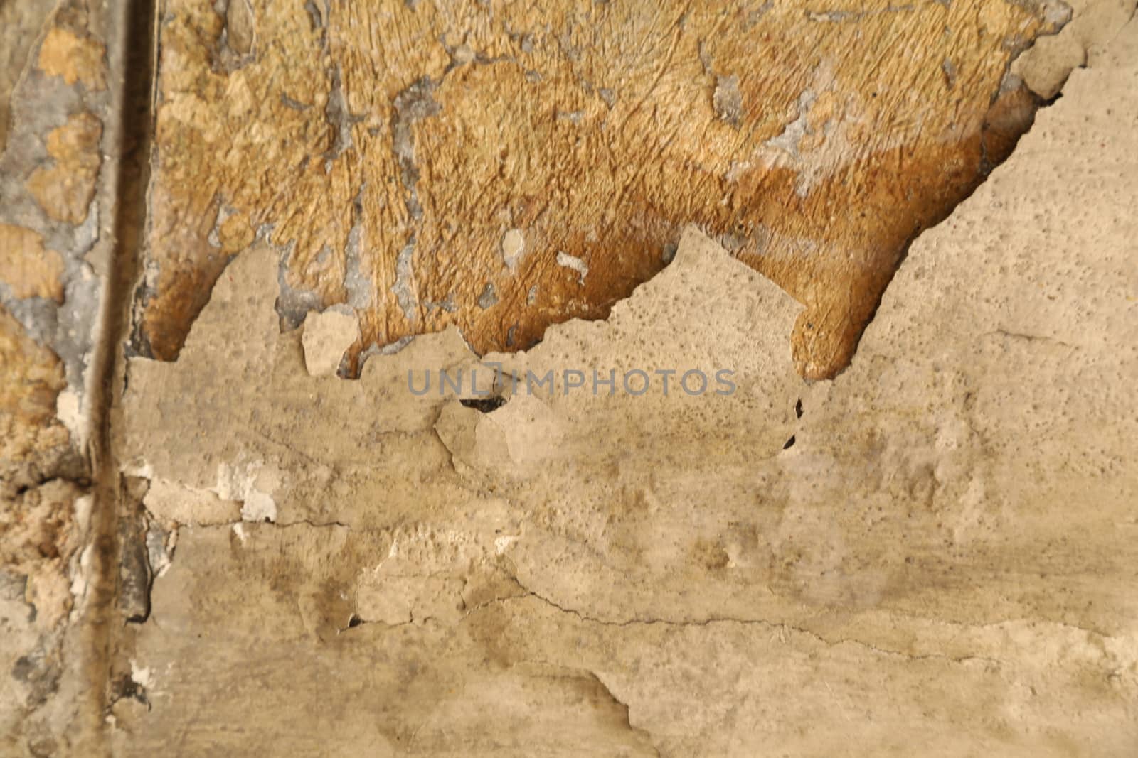 close up of old wall Texture