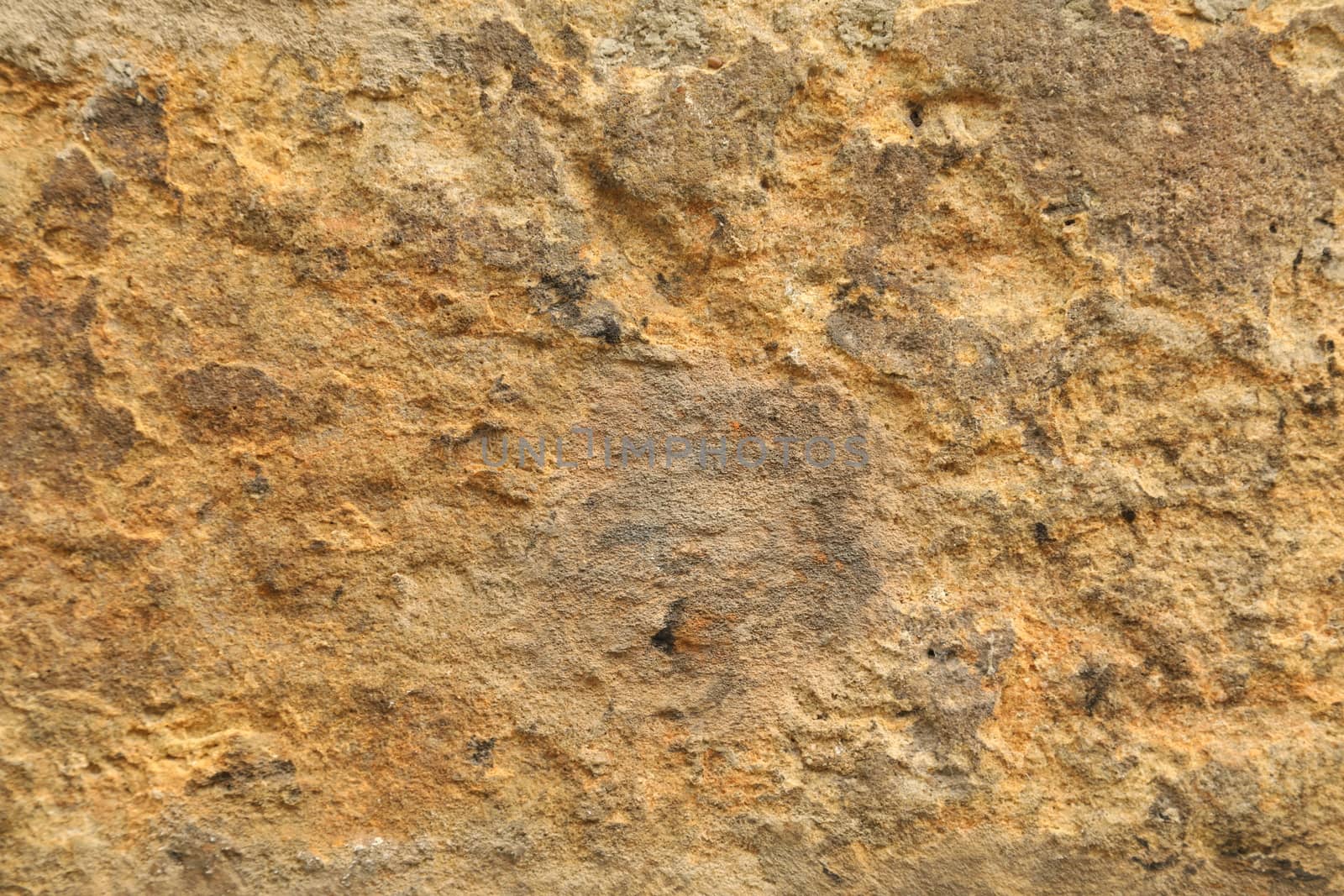 close up of old wall Texture