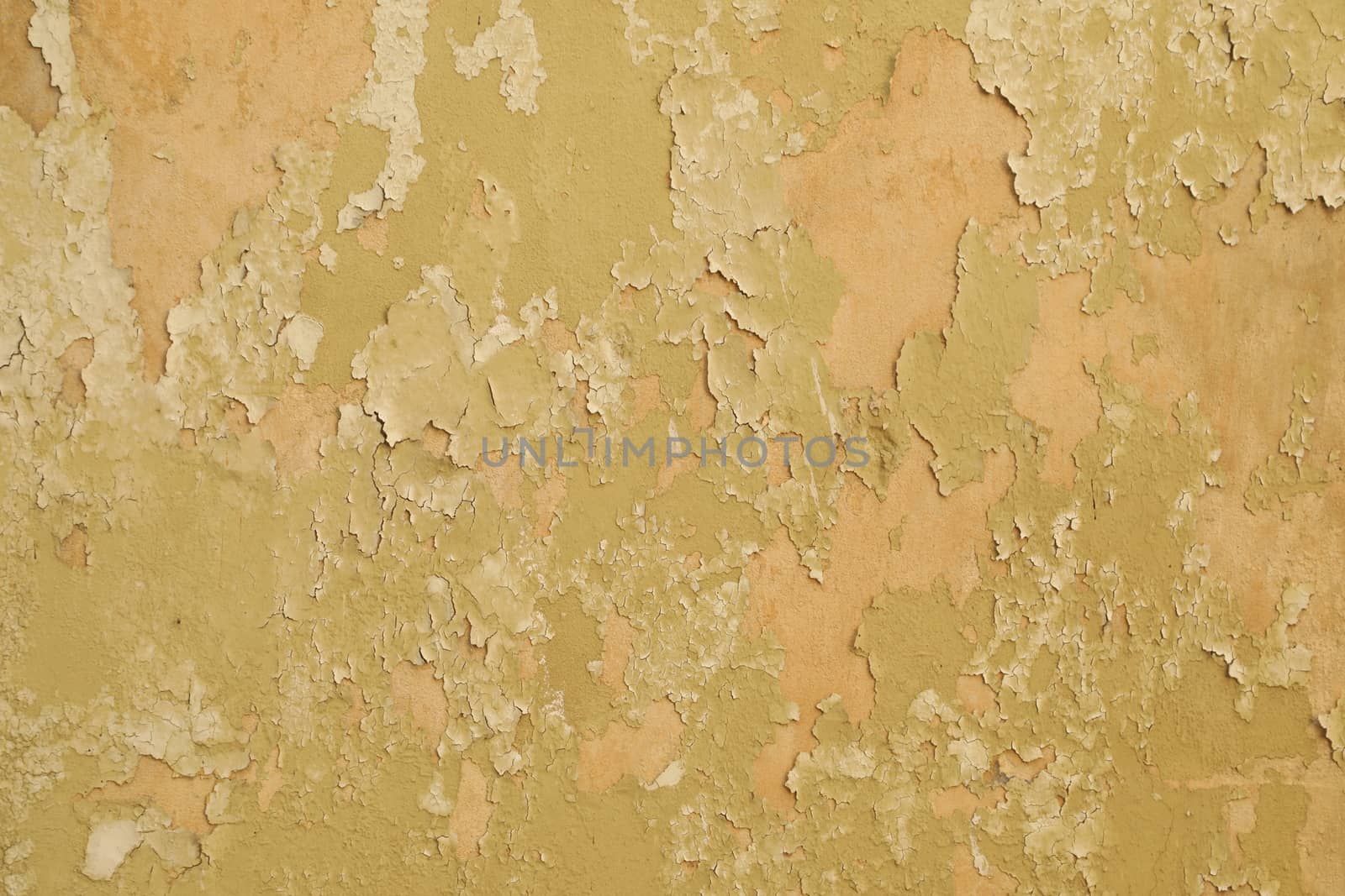 close up of old wall Texture