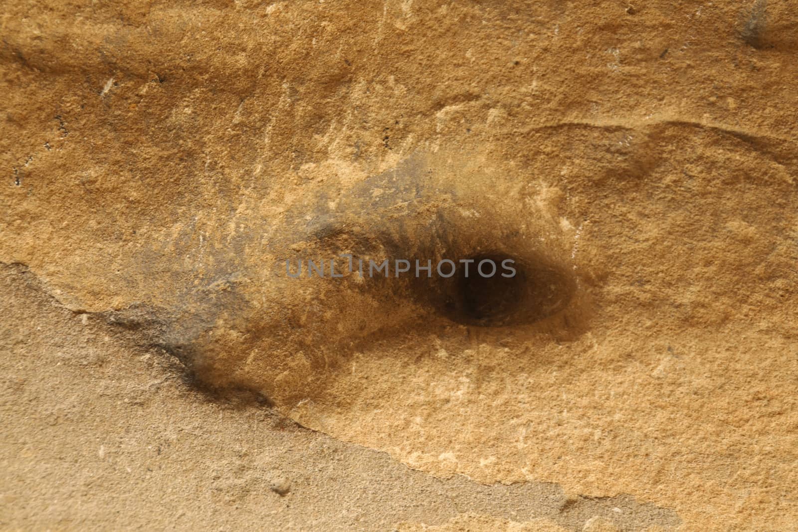 old stone wall Texture