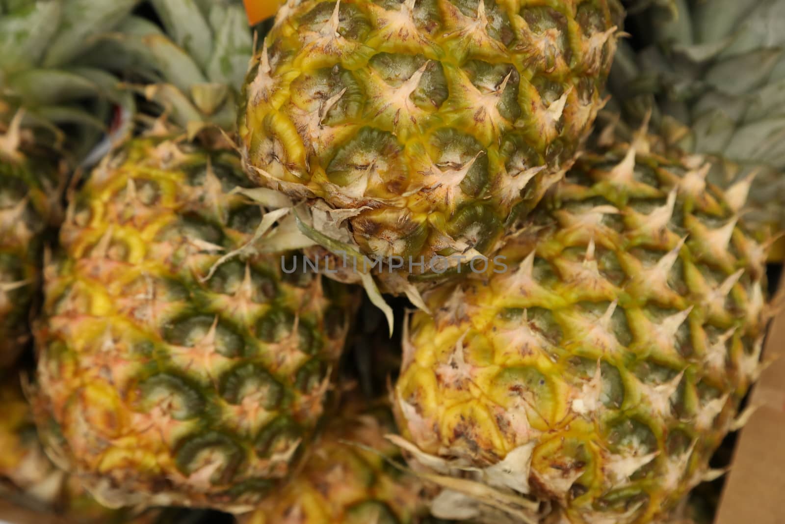 closeup shot of Fruits