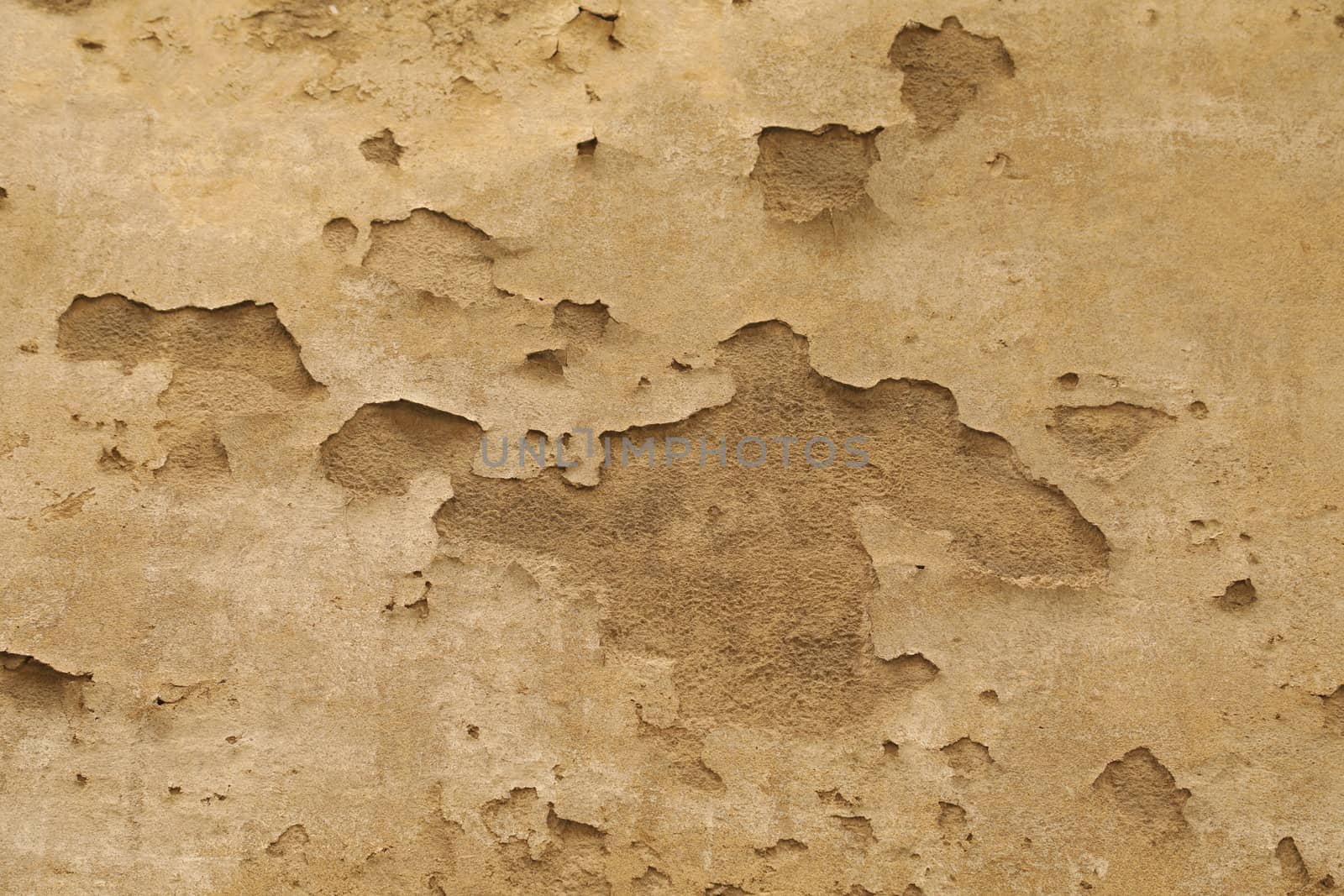 close up of old wall Texture