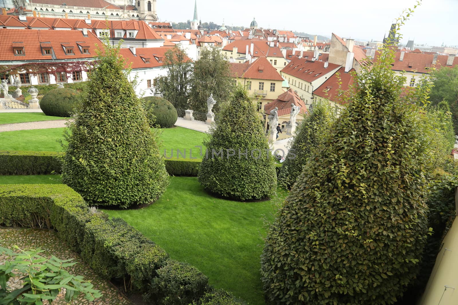 Trees in Switzerland