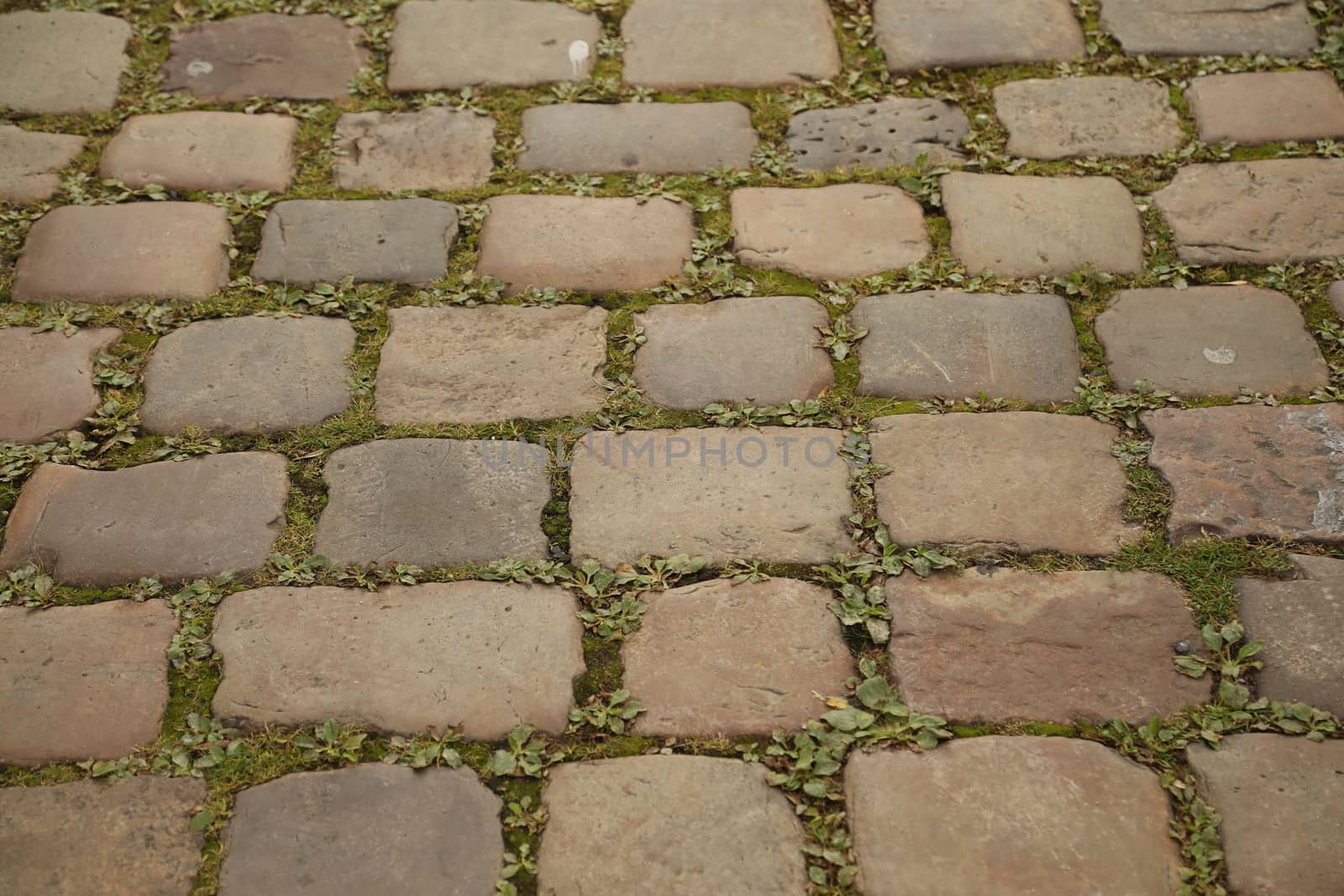 close up of old wall Texture