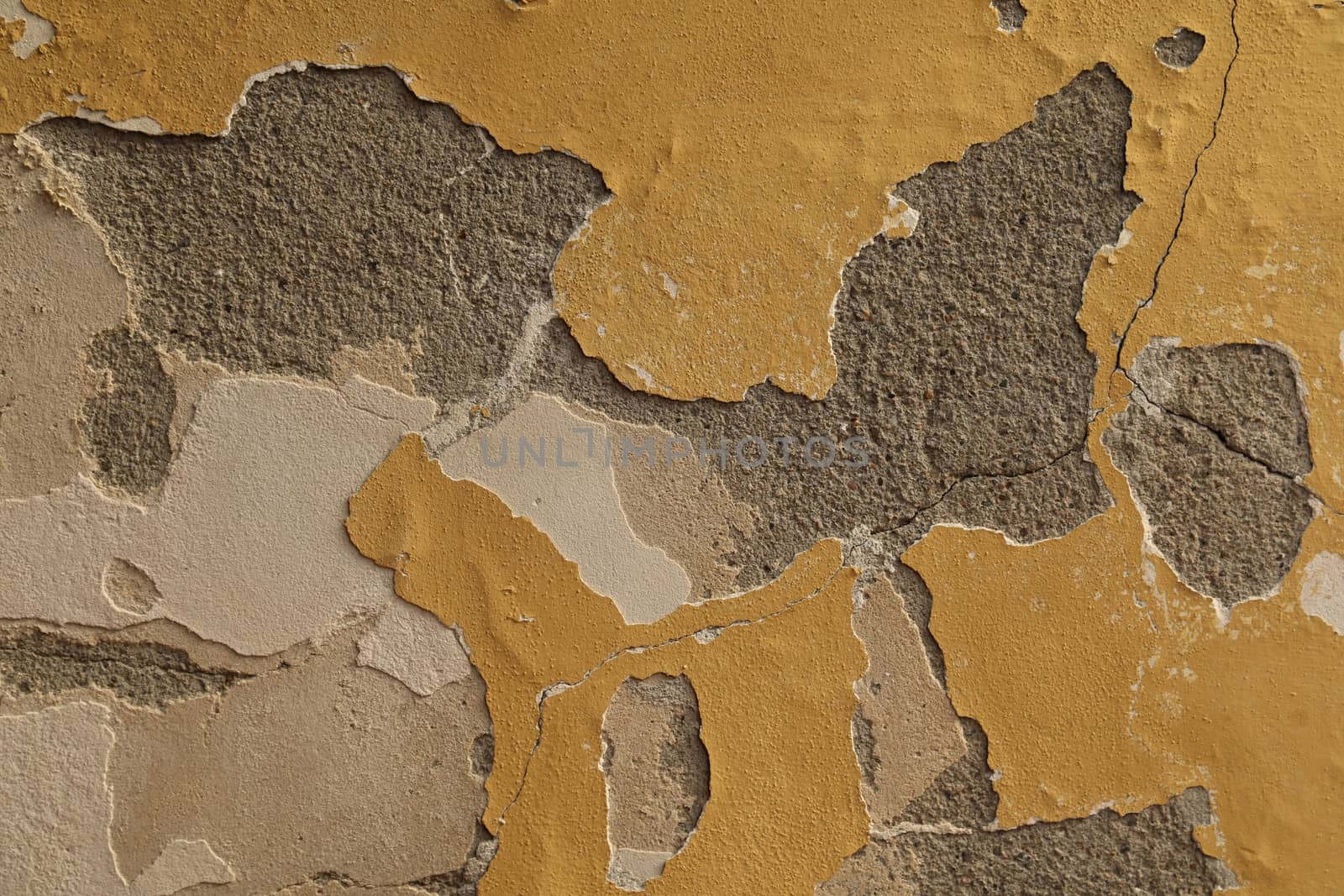 close up of old wall Texture