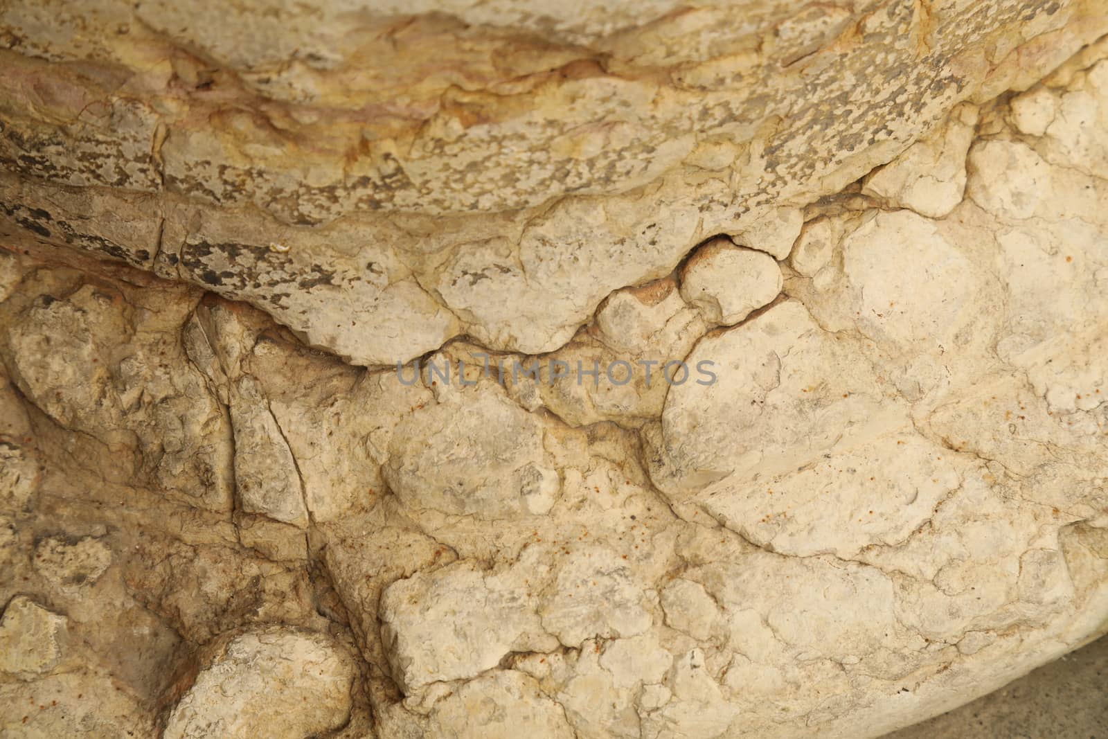 close up of old wall Texture