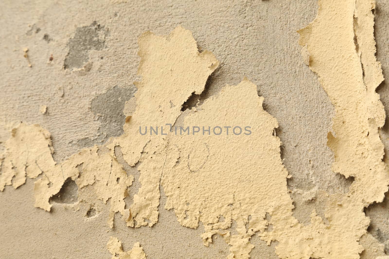 close up of old wall Texture
