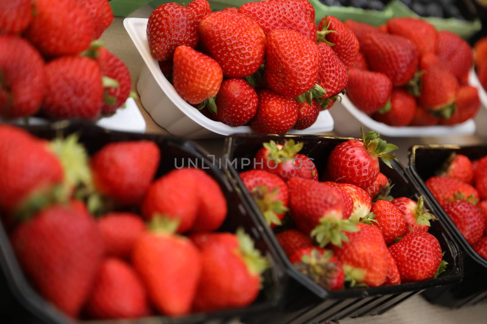 closeup shot of Fruits