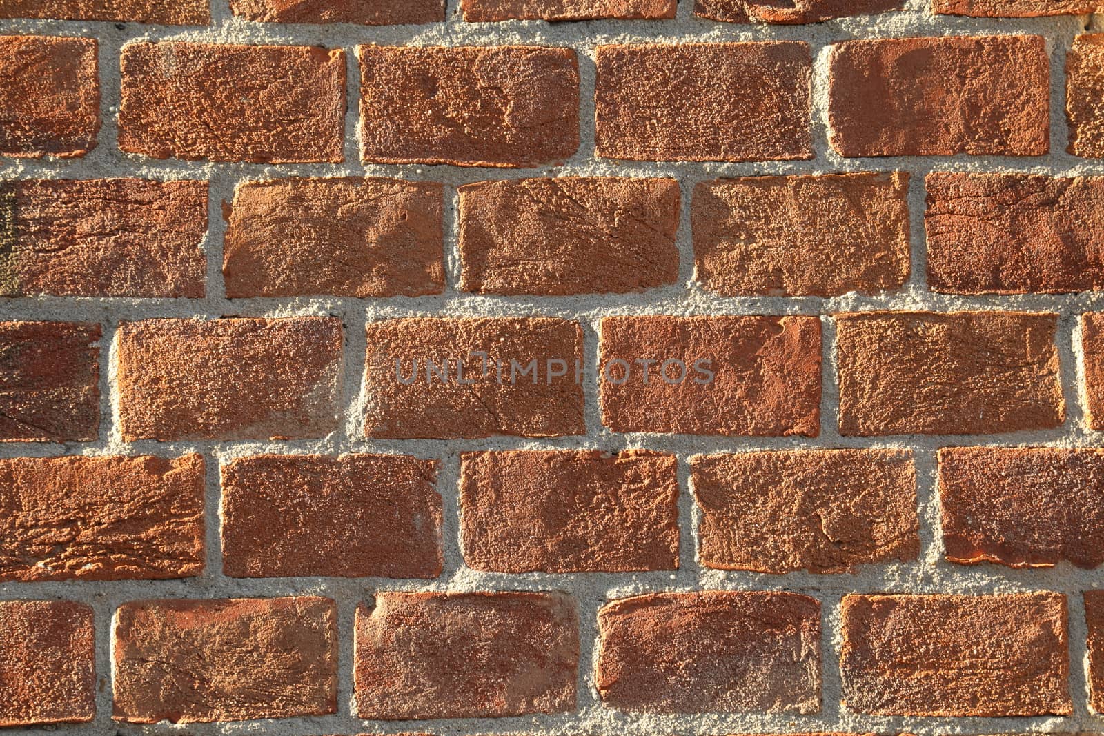 close up of old wall Texture