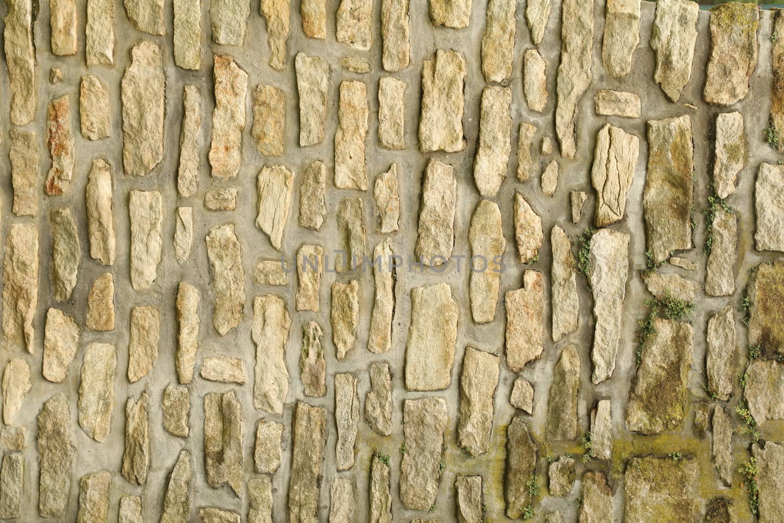 close up of old wall Texture