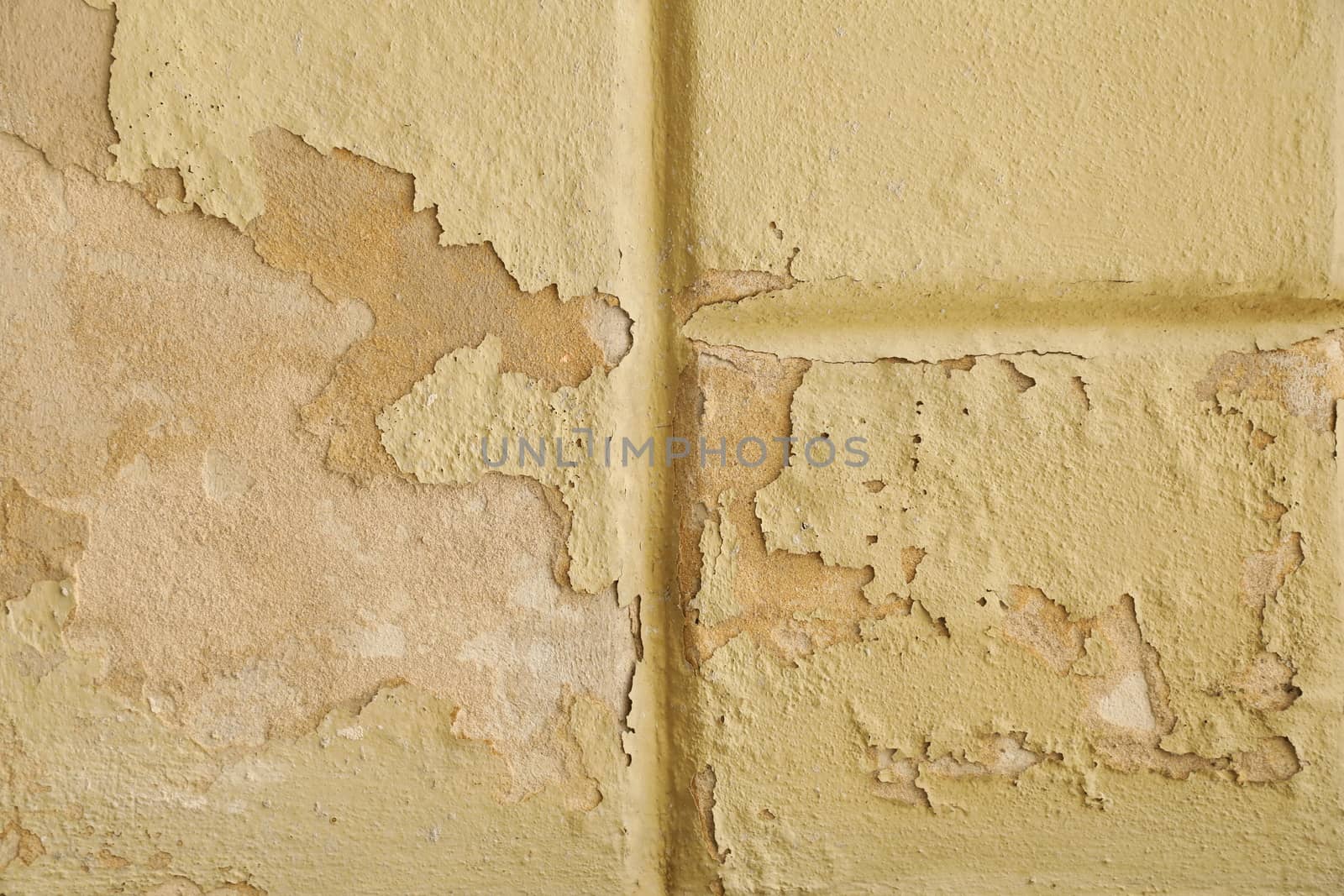 close up of old wall Texture