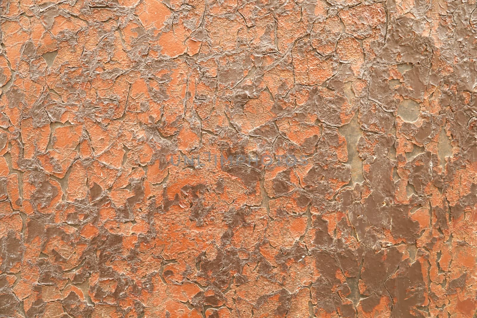 close up of old wall Texture