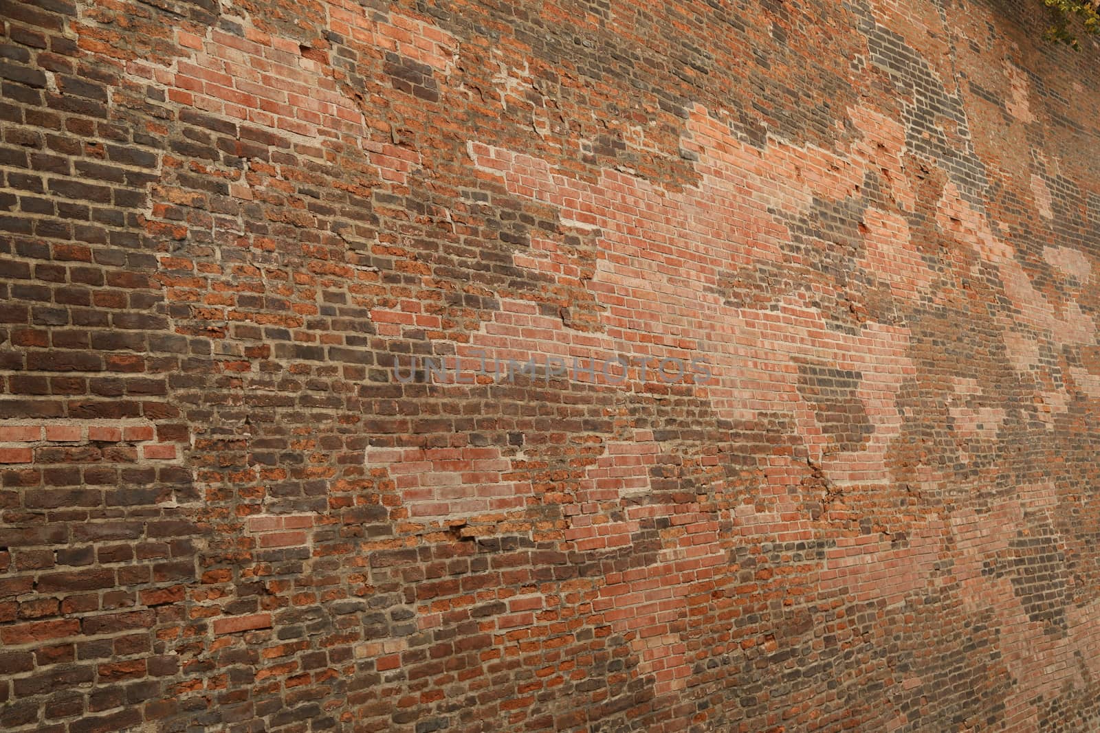 close up of old wall Texture