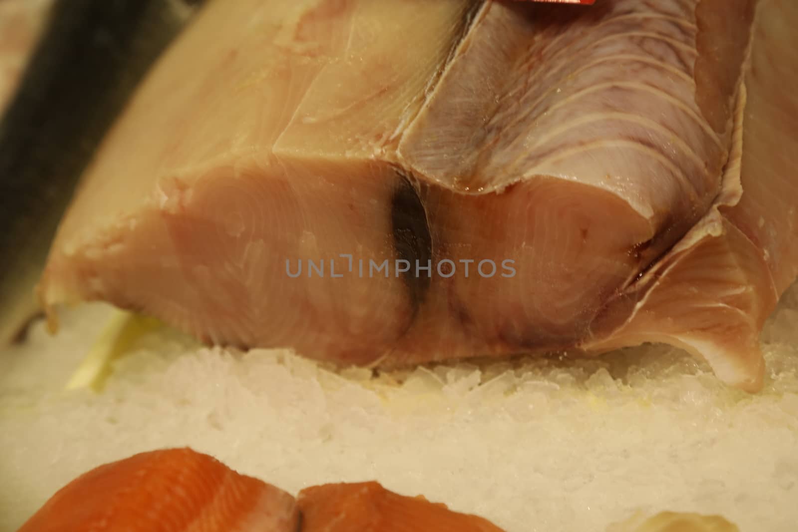 Fish Counter in a Market