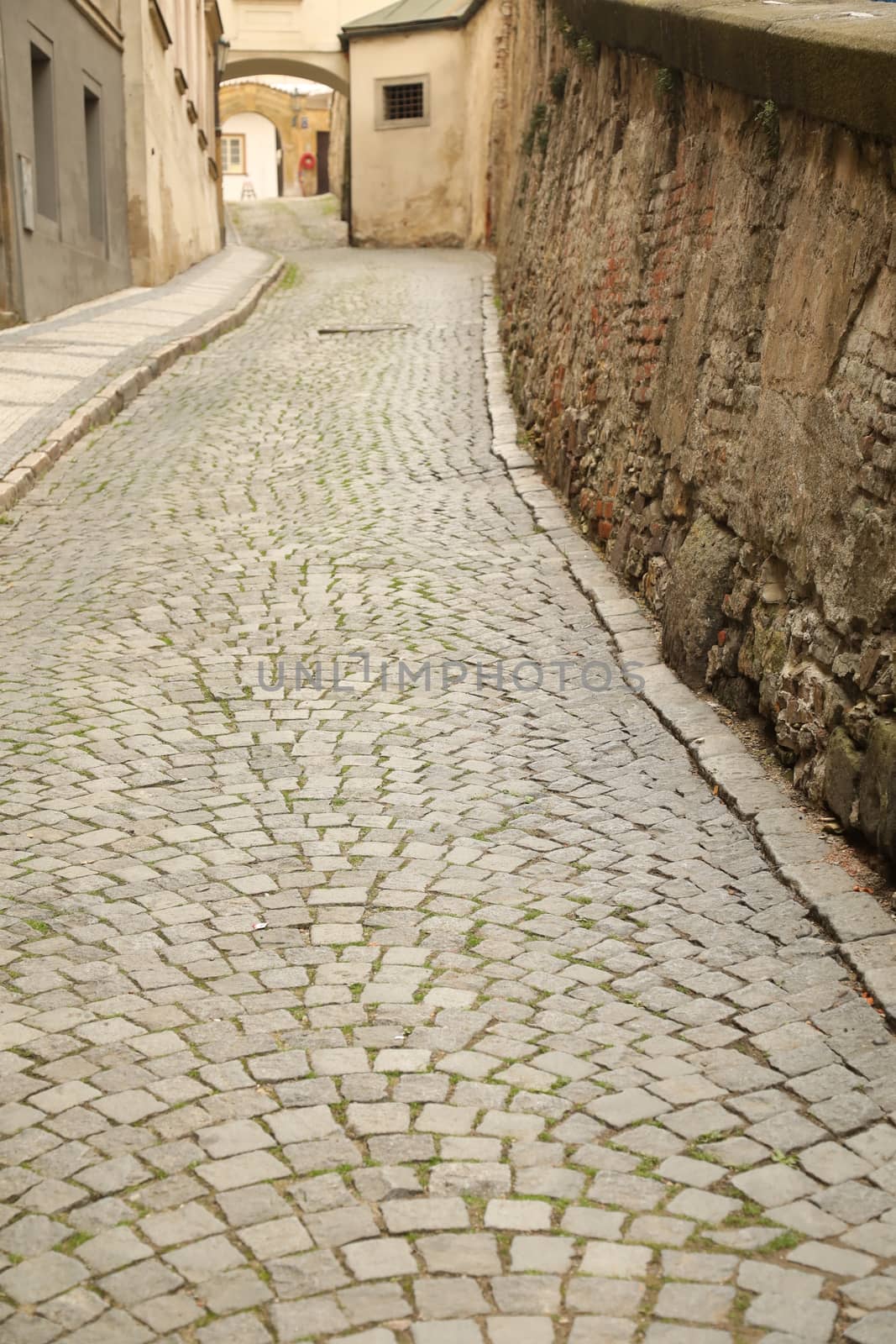 close up of old wall Texture