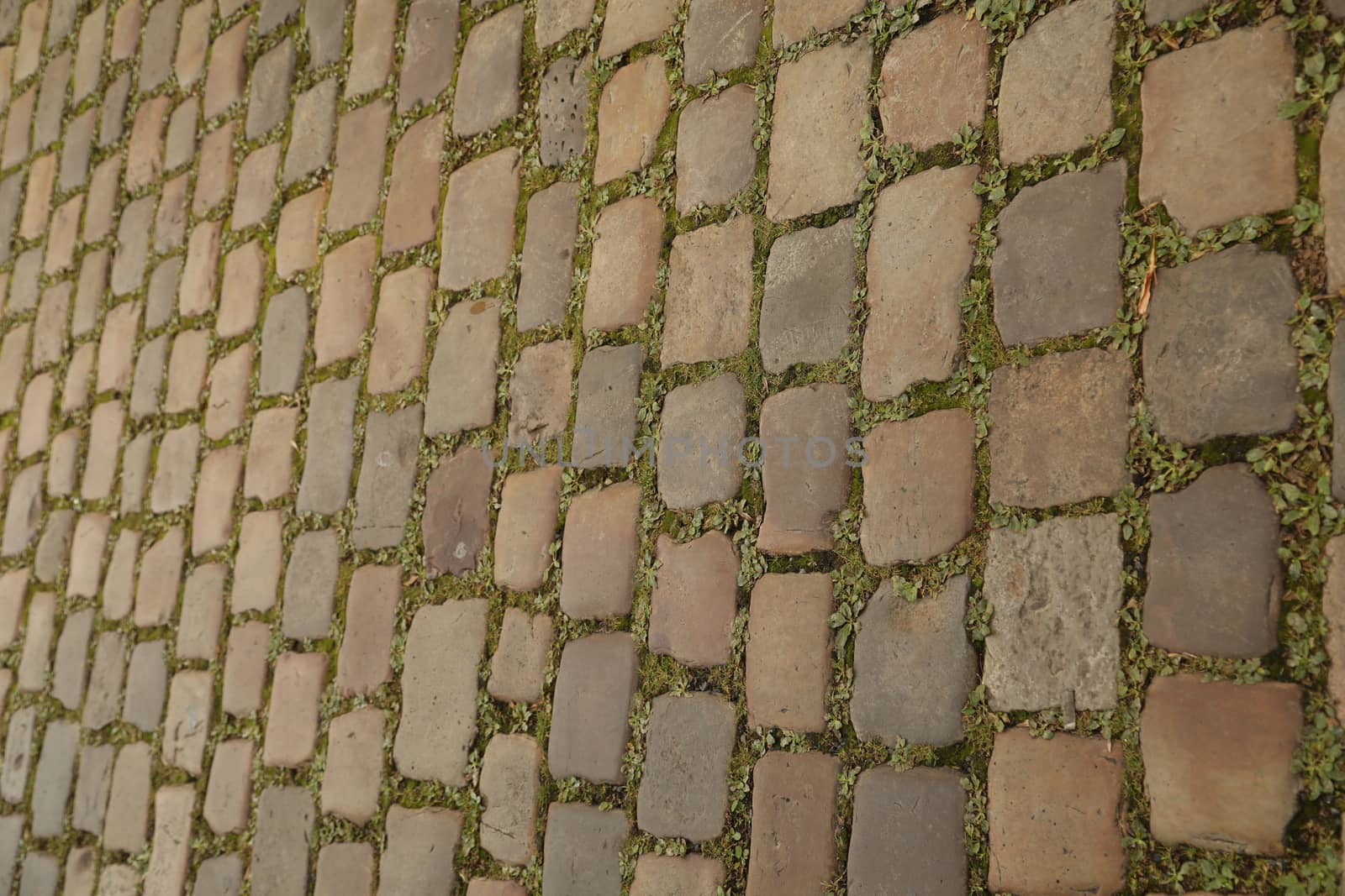 close up of old wall Texture