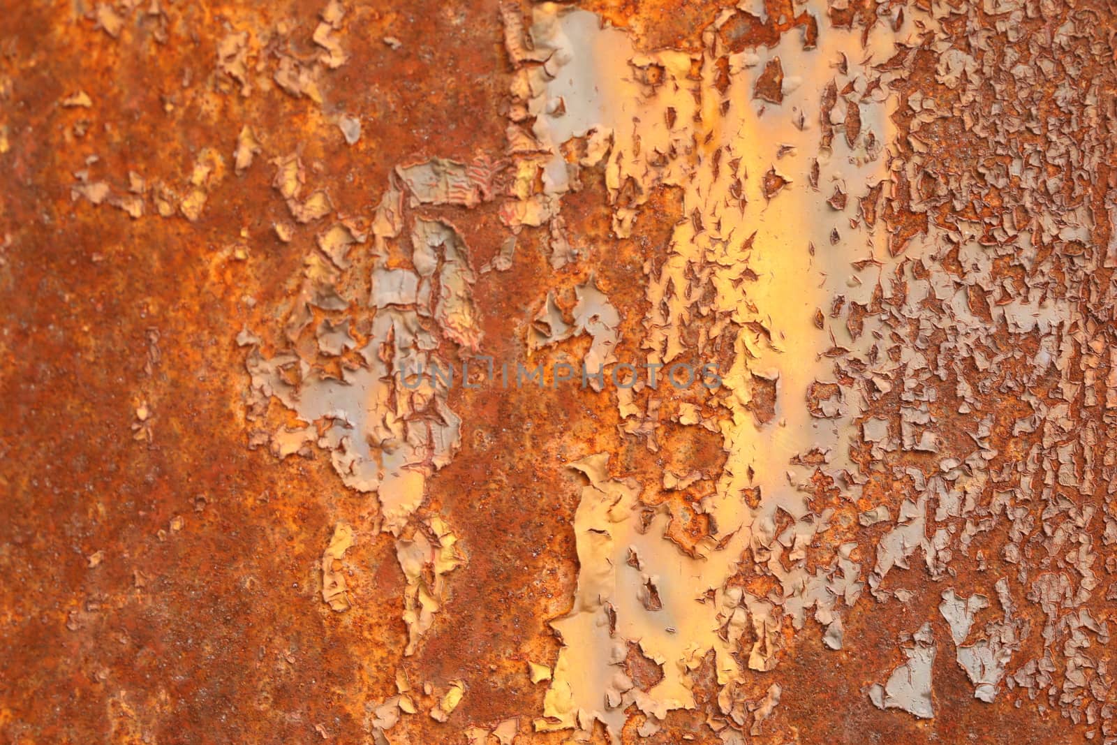 close up of old wall Texture