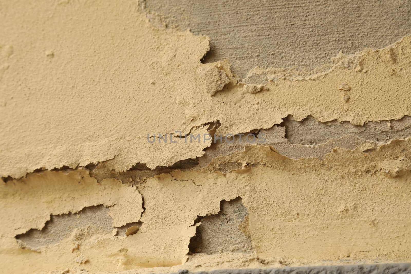 close up of old wall Texture