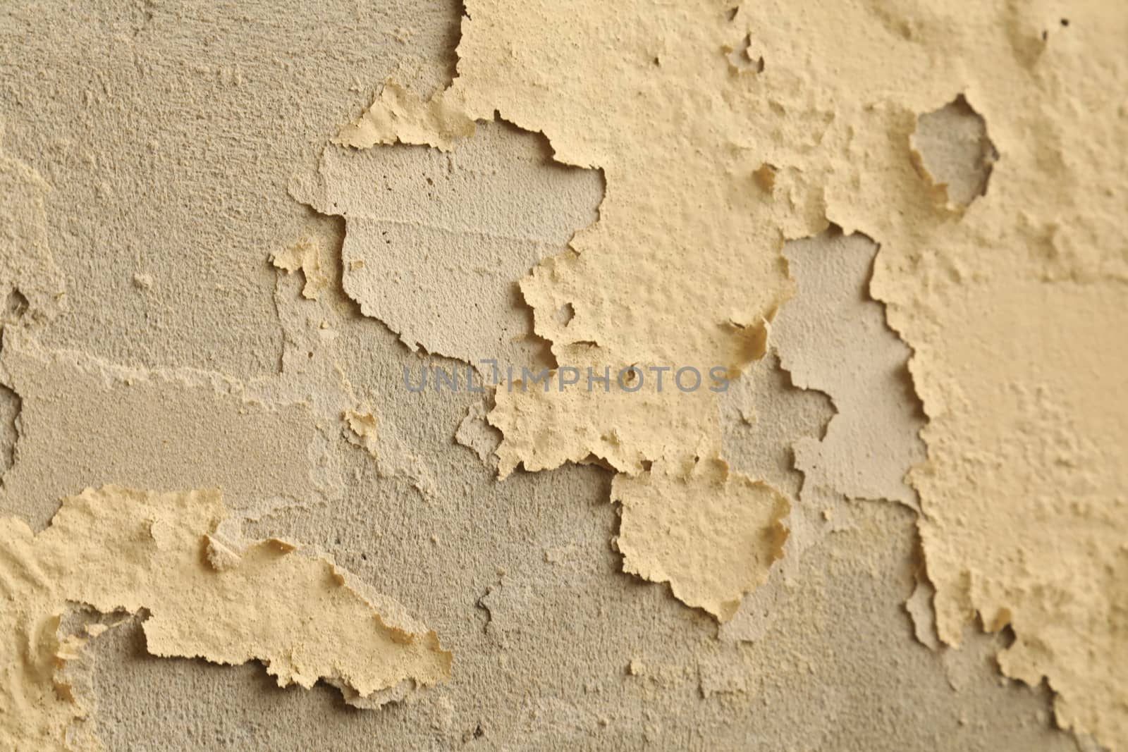 close up of old wall Texture