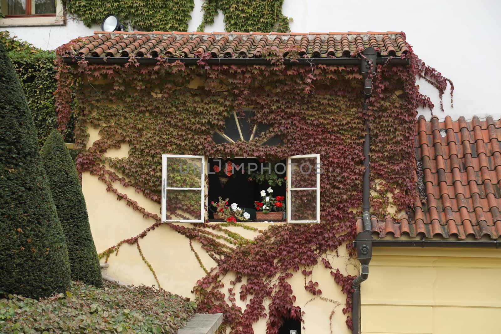 House decorative piece