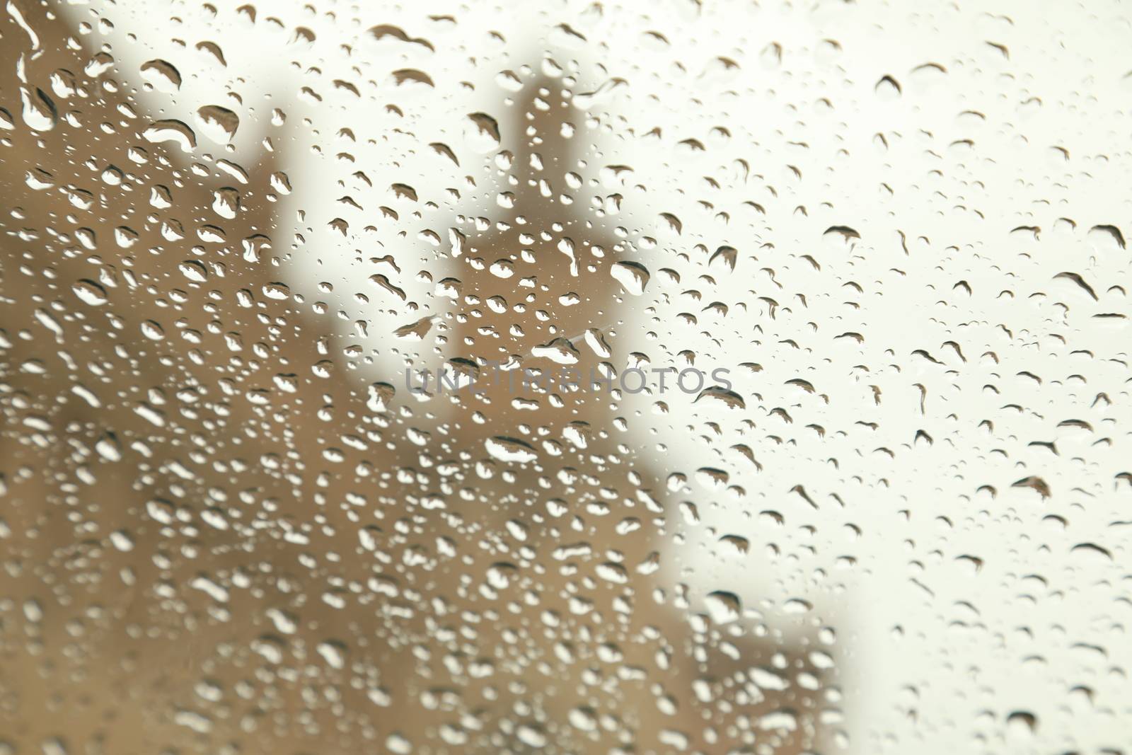 Rain Drops on a Glass