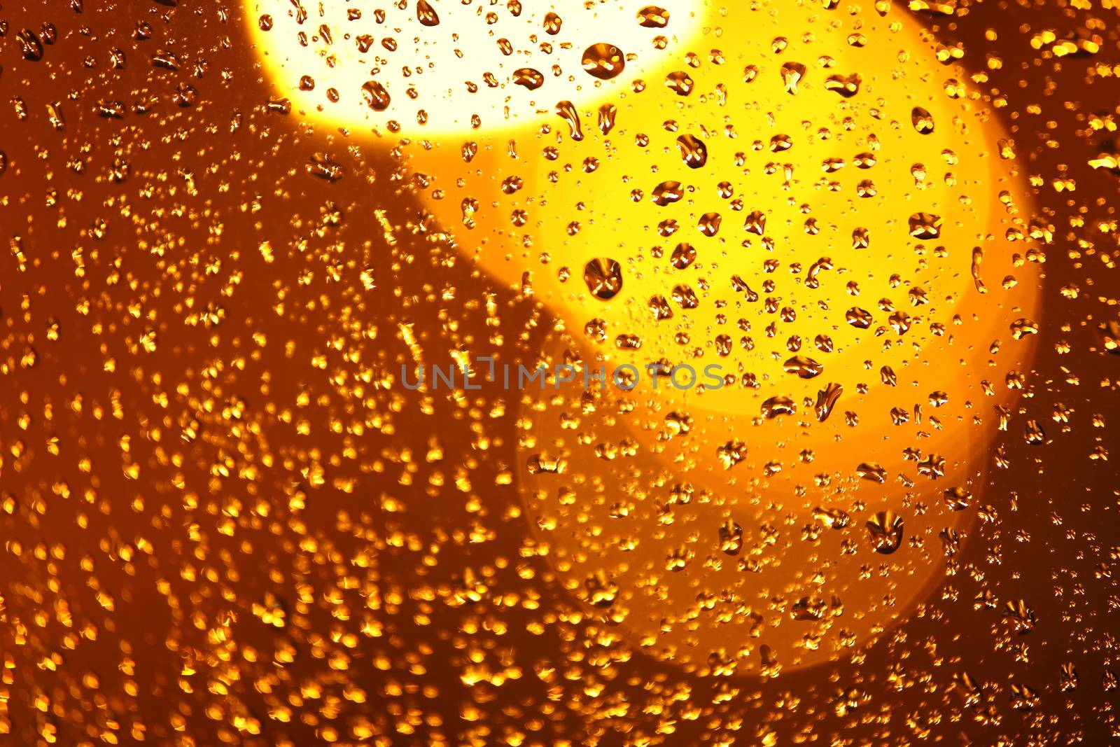Rain Drops on a Glass