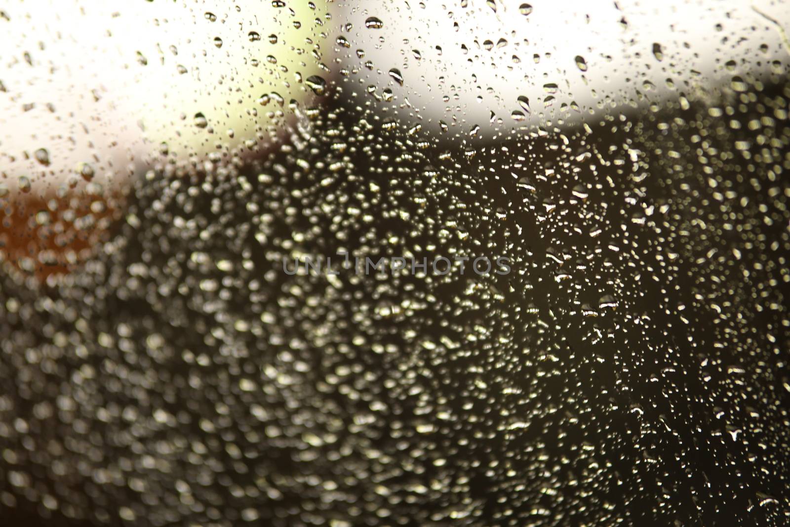 Rain Drops on a Glass