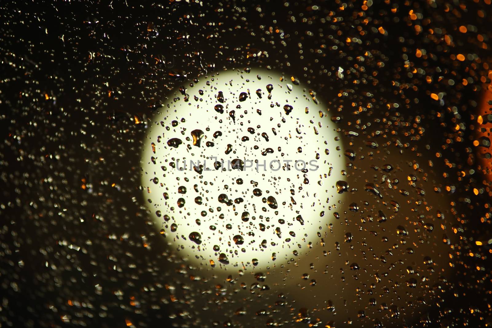 Rain Drops on a Glass