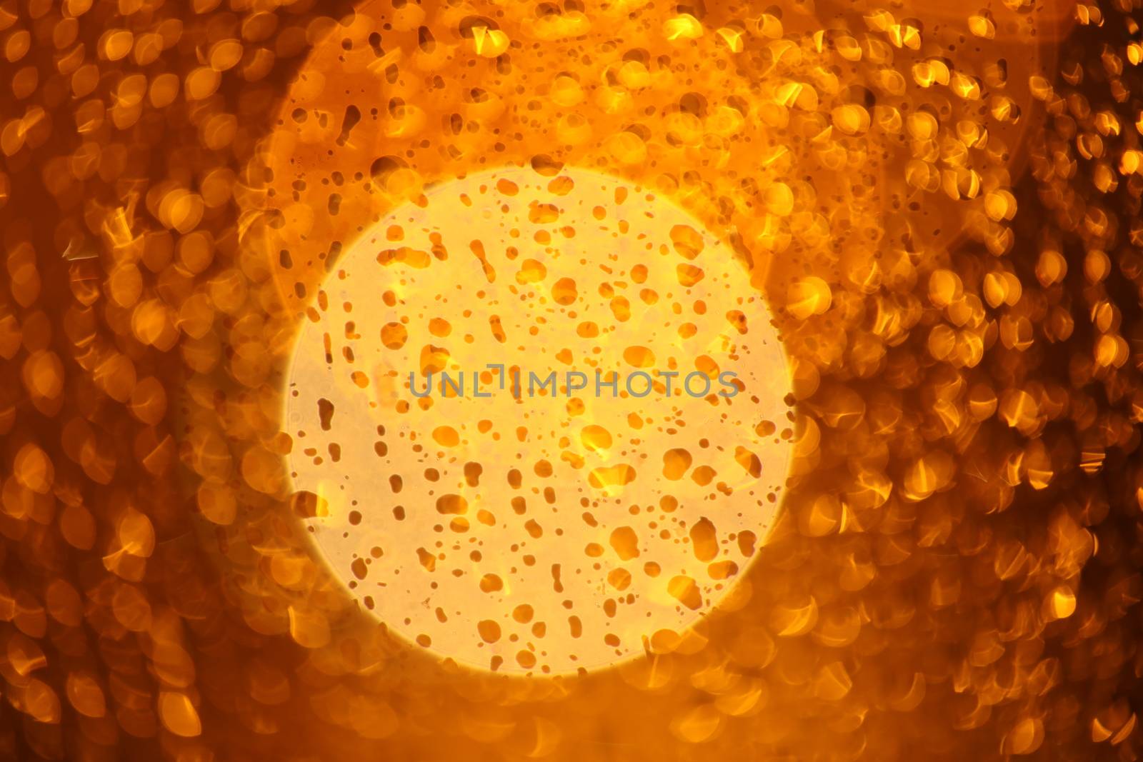 Rain Drops on a Glass