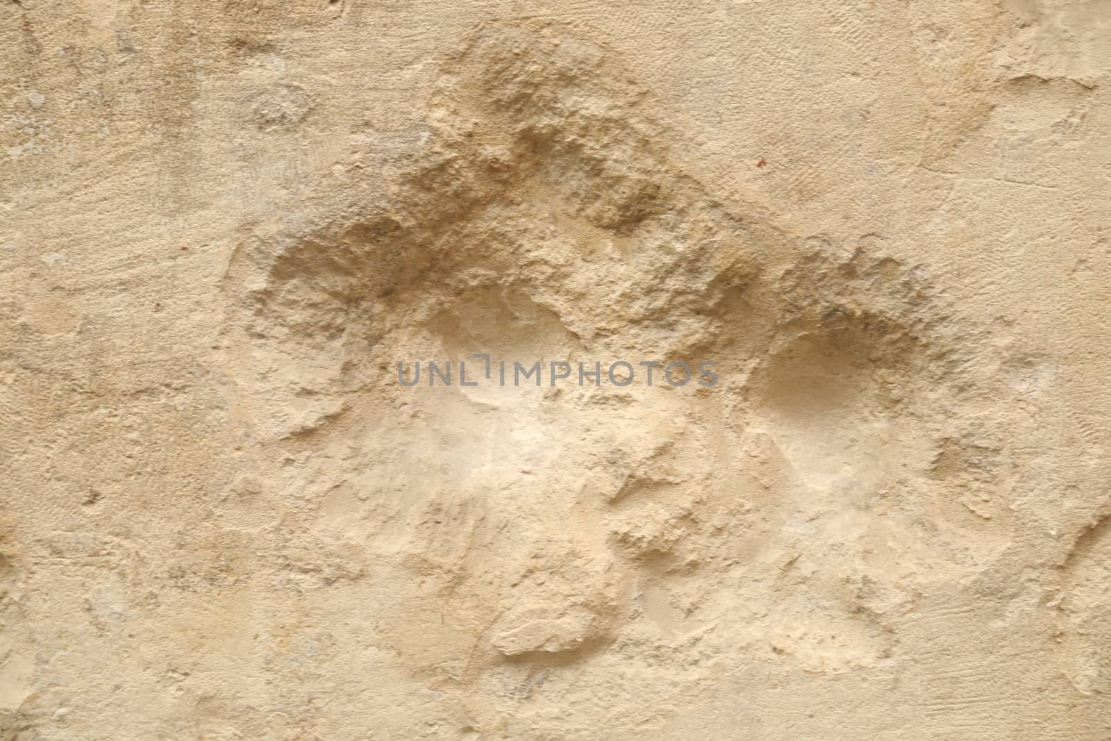 Raw stone Texture