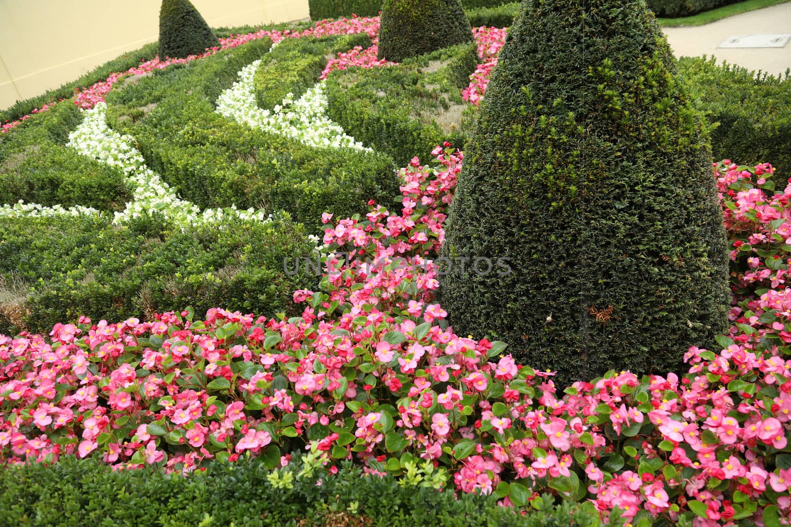 Closeup shot of Flowers