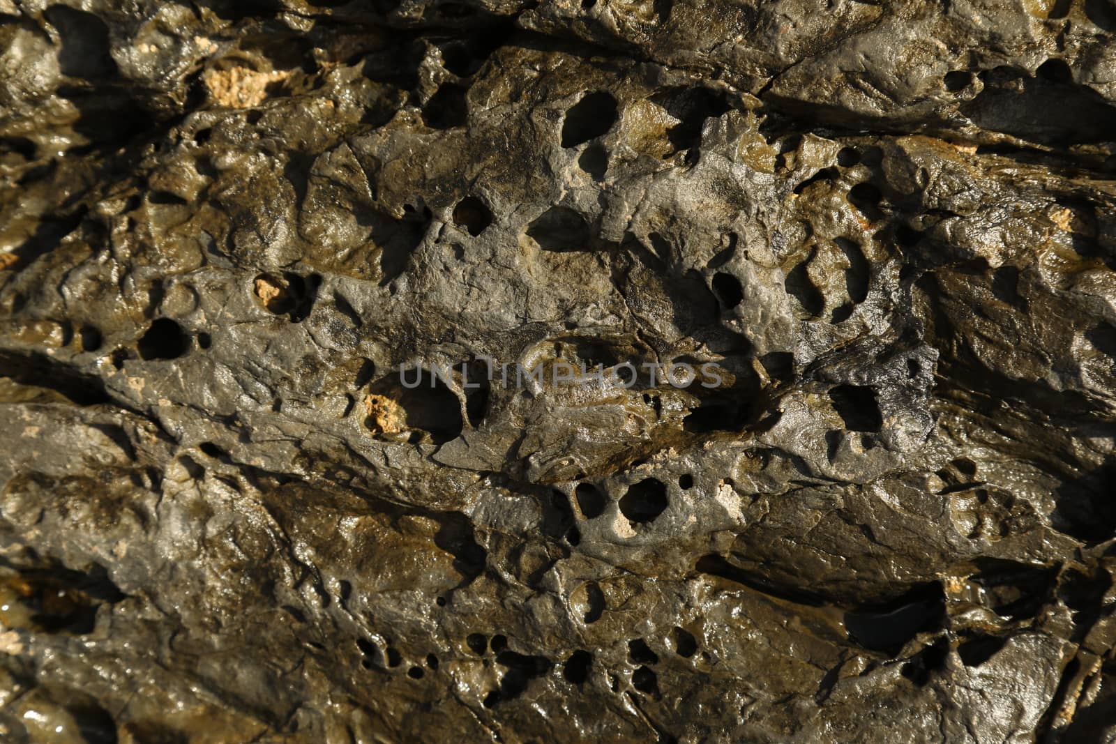 Raw stone Texture