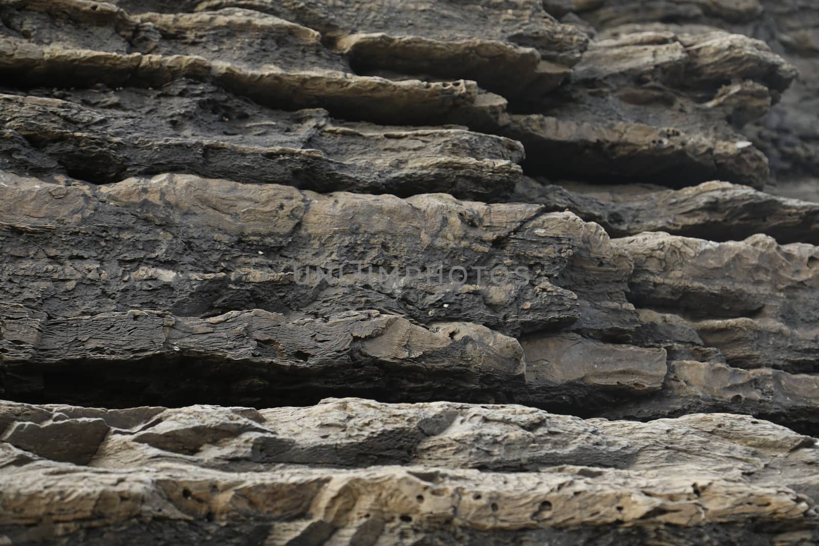 Raw stone Texture