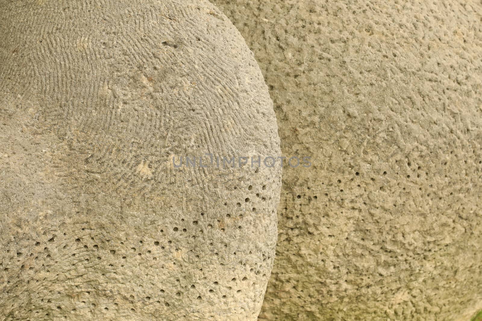 Raw stone Texture