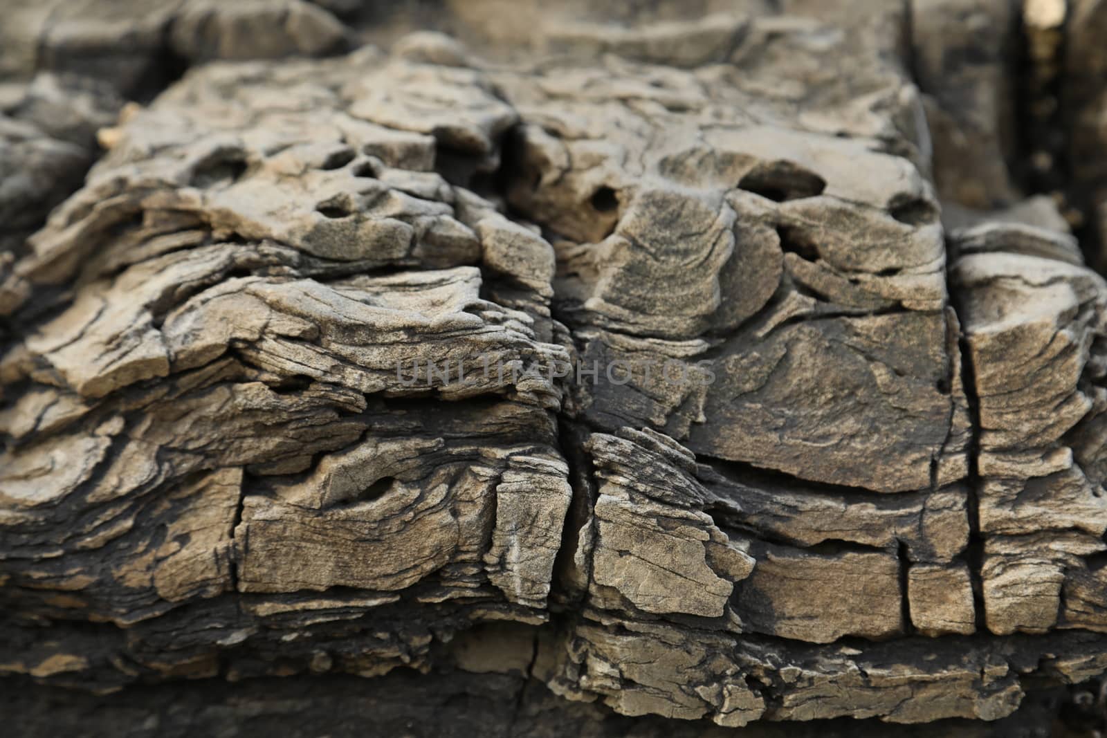 Raw stone Texture