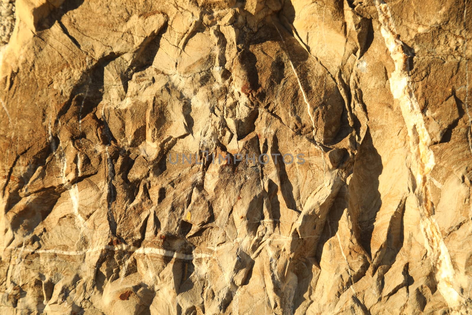 Raw stone Texture