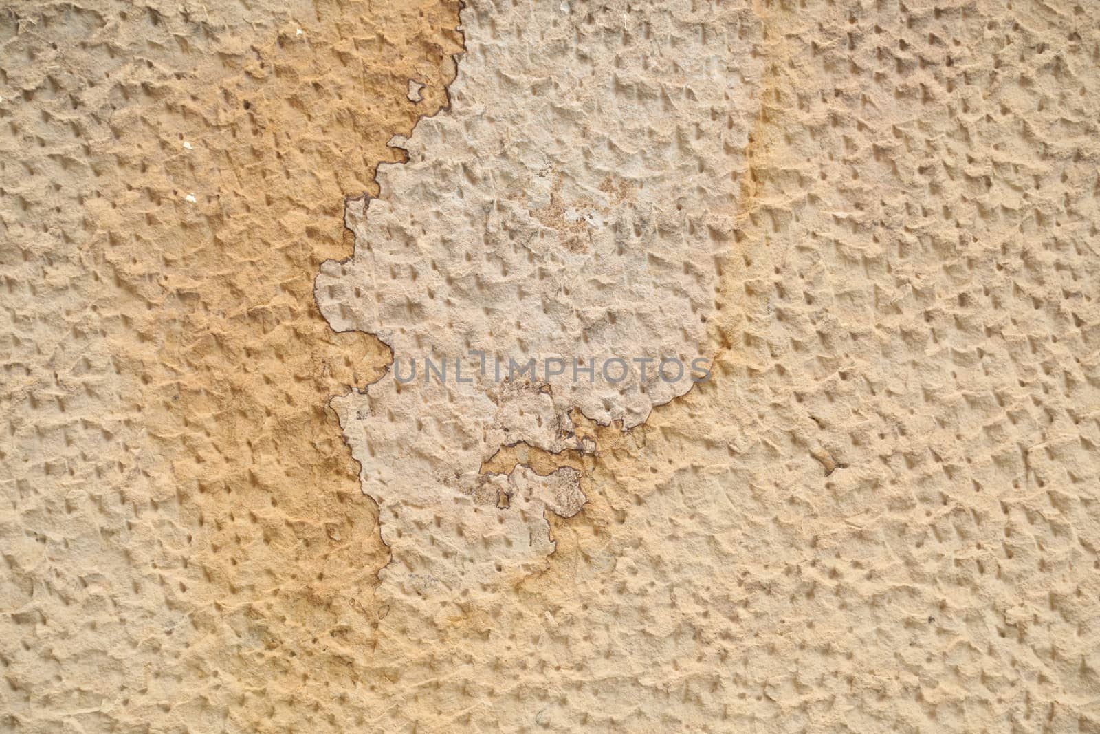 Raw stone Texture