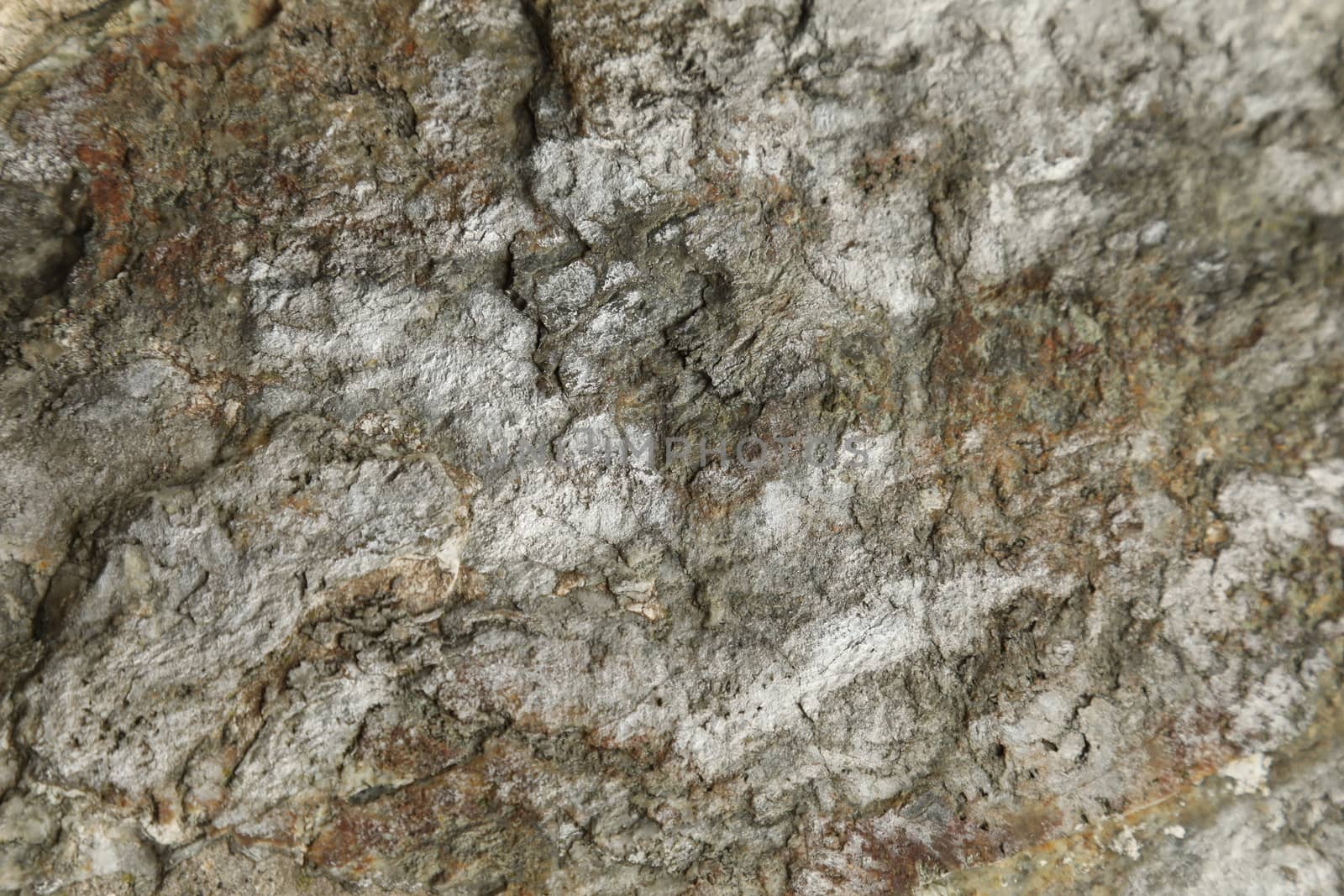 Raw stone Texture