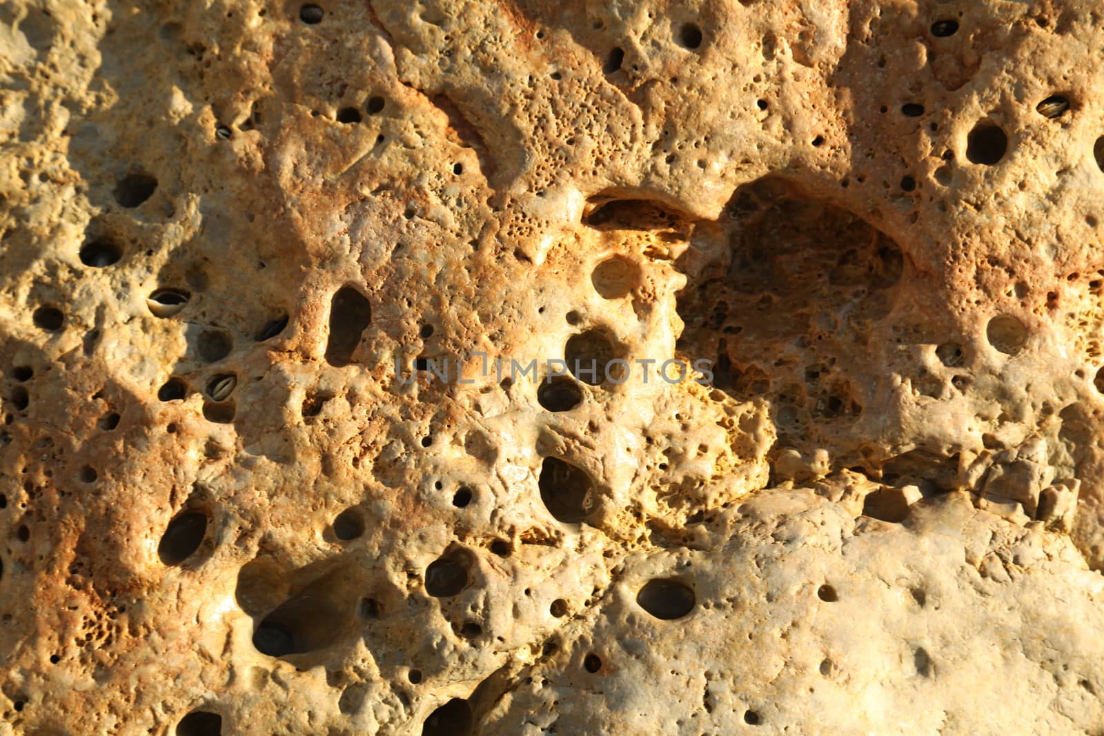 Raw stone Texture by rajastills