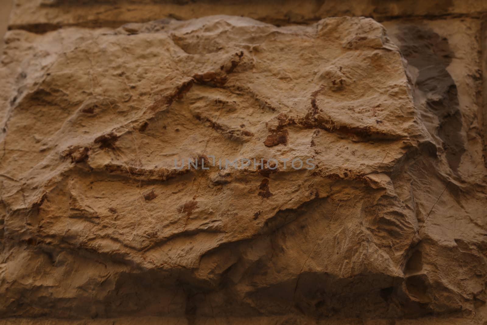 Raw stone Texture