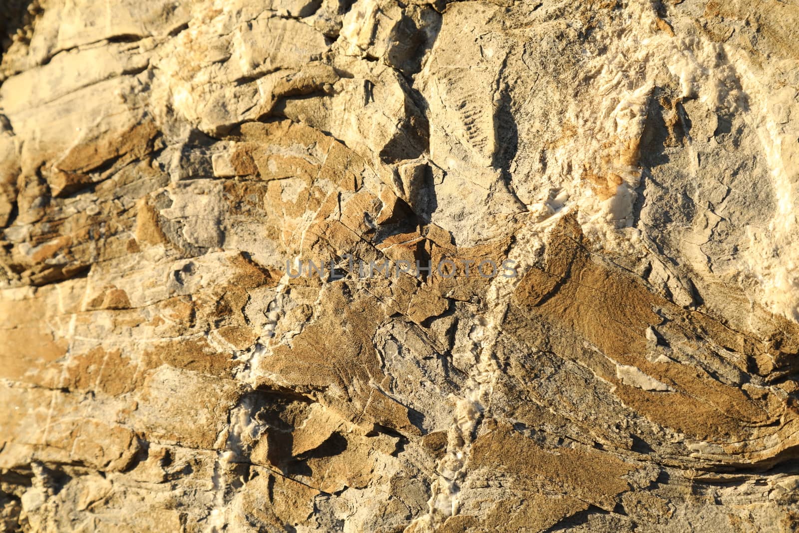 Raw stone Texture