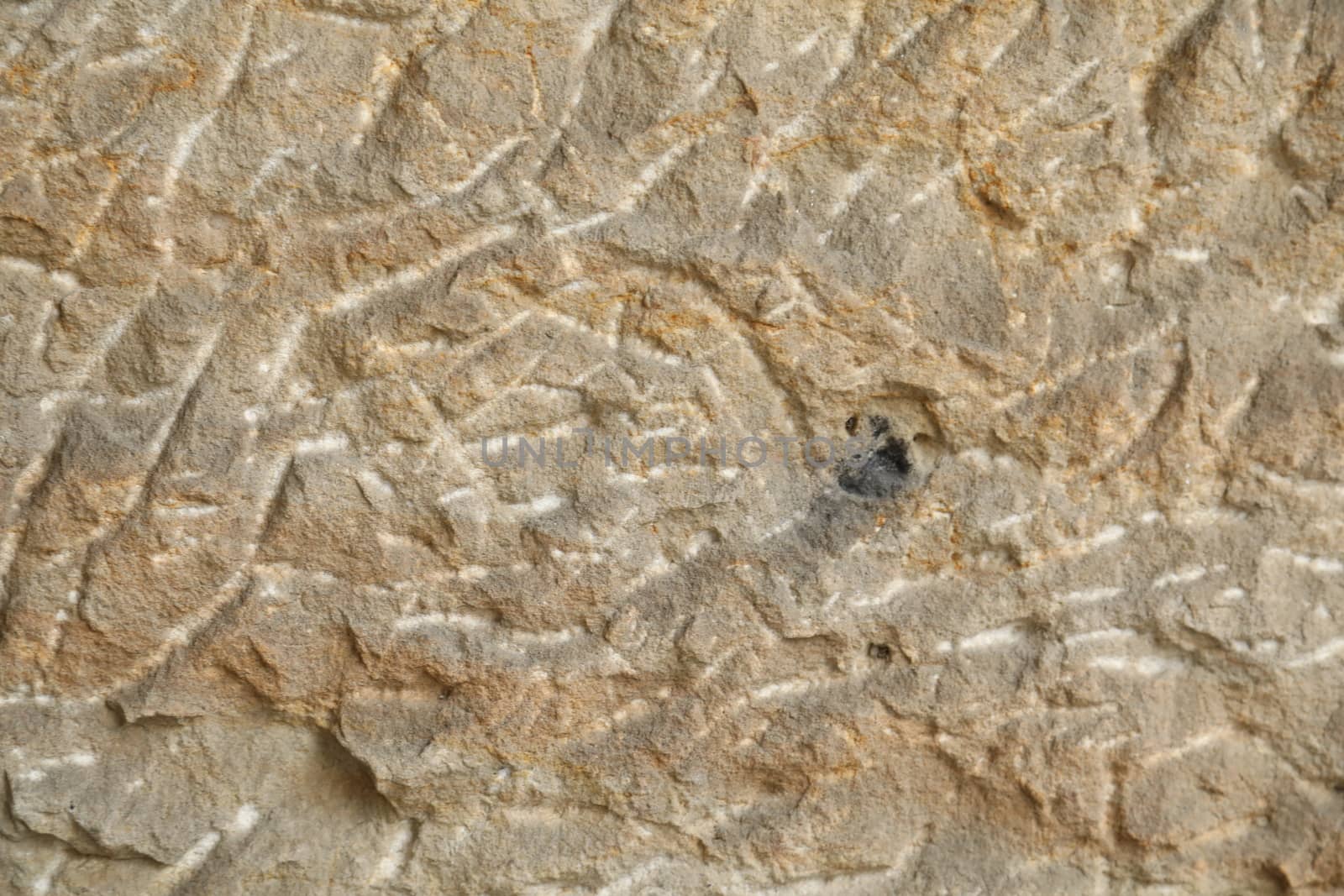 Raw stone Texture