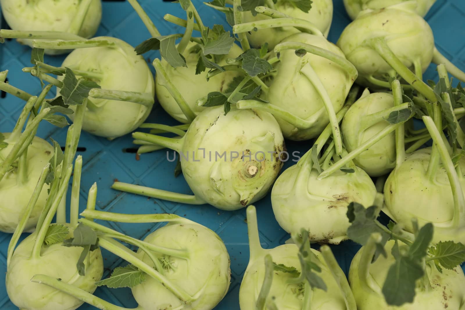 Vegetables close up
