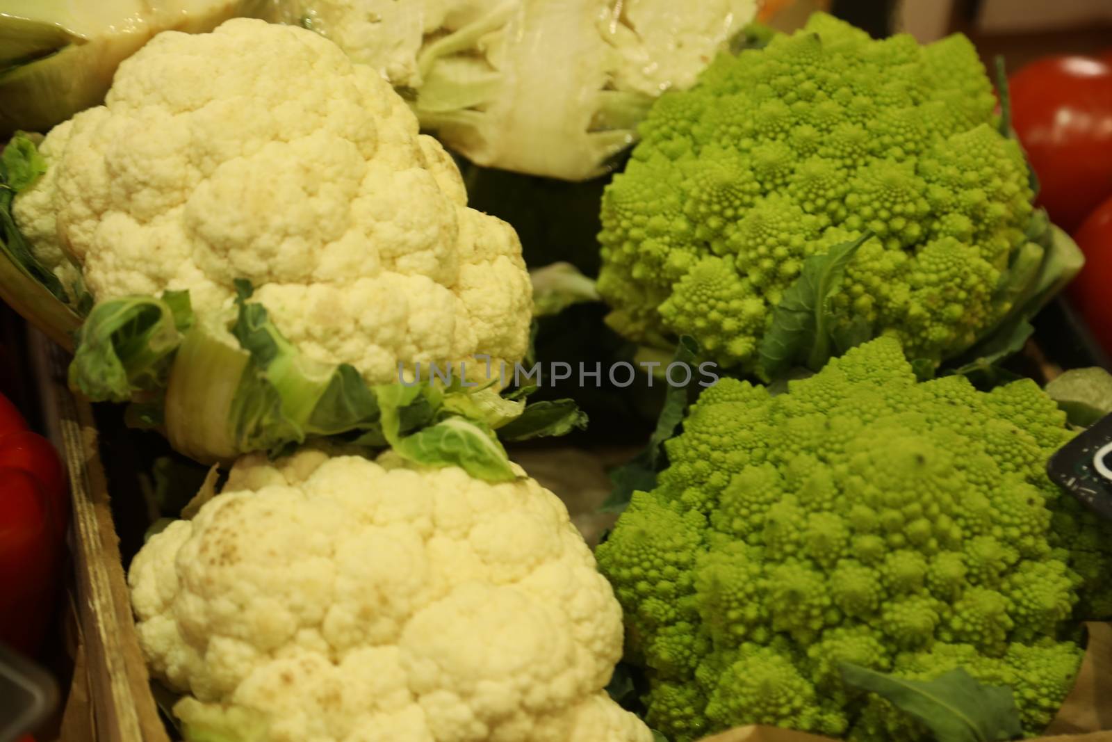 Vegetables close up