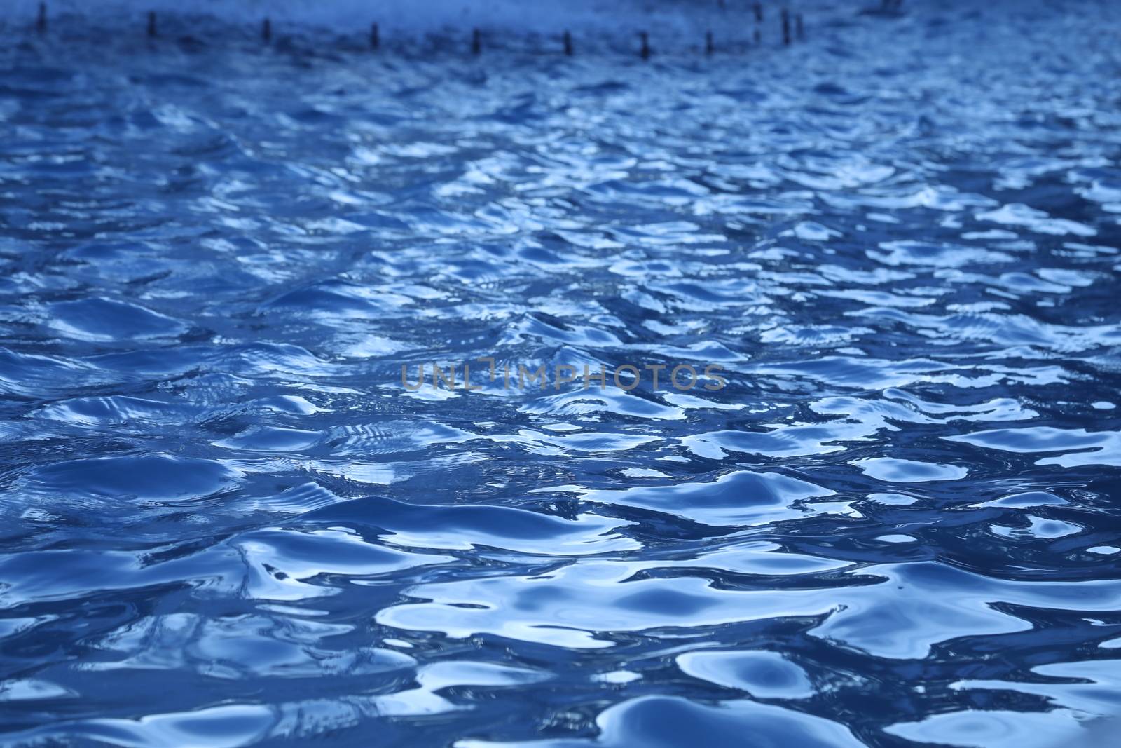 Water waves in the sea