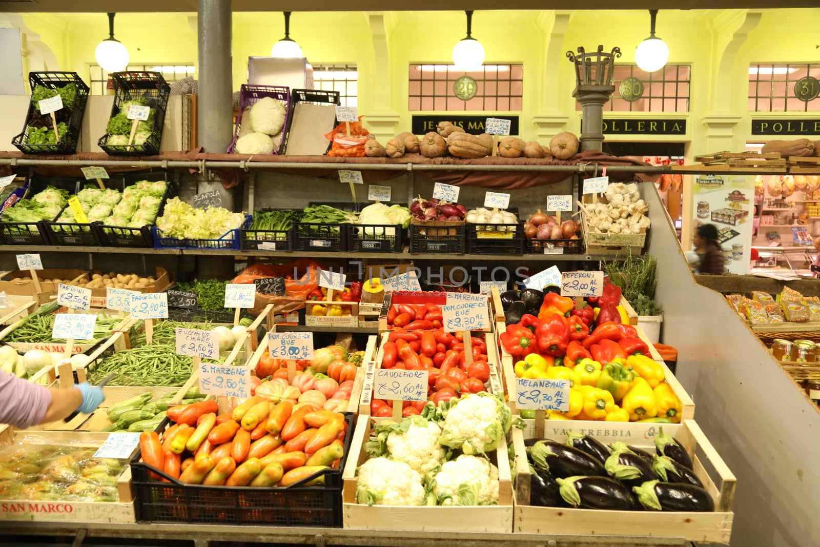 Vegetables close up